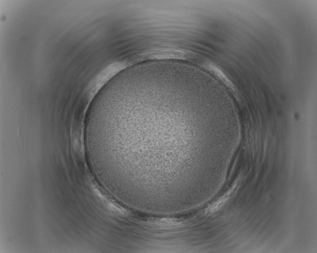 X0000063460986200601271600