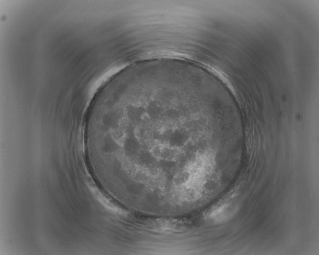 X0000063460987200601271600