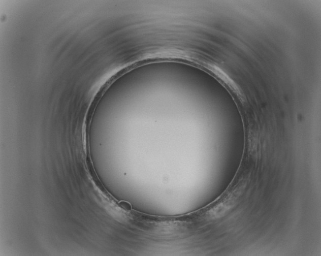 X0000063460988200601271600