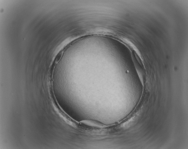 X0000063460989200601271600