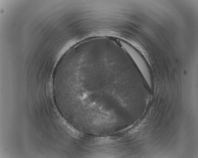 X0000063460990200601271600