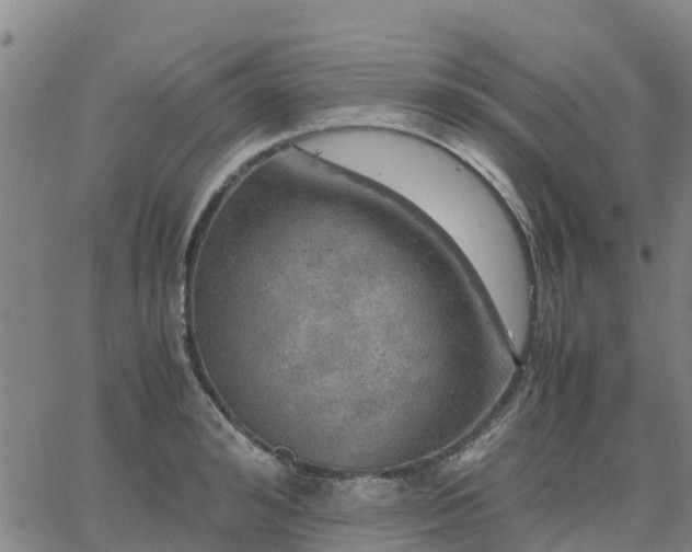 X0000063460992200601271600