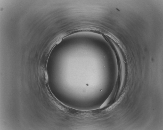 X0000063460993200601271600