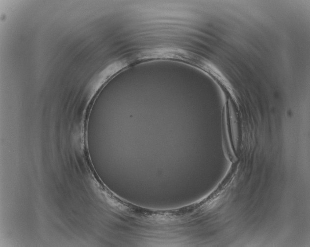 X0000063460994200601271600