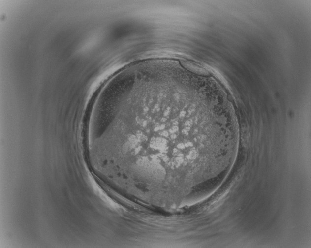 X0000063460995200601271600