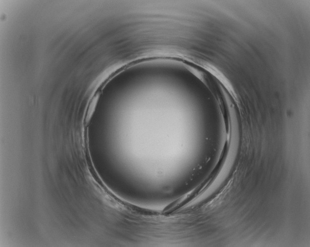 X0000063460996200601271559