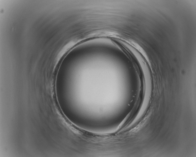 X0000063460997200601271559