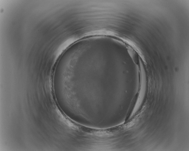 X0000063460998200601271559