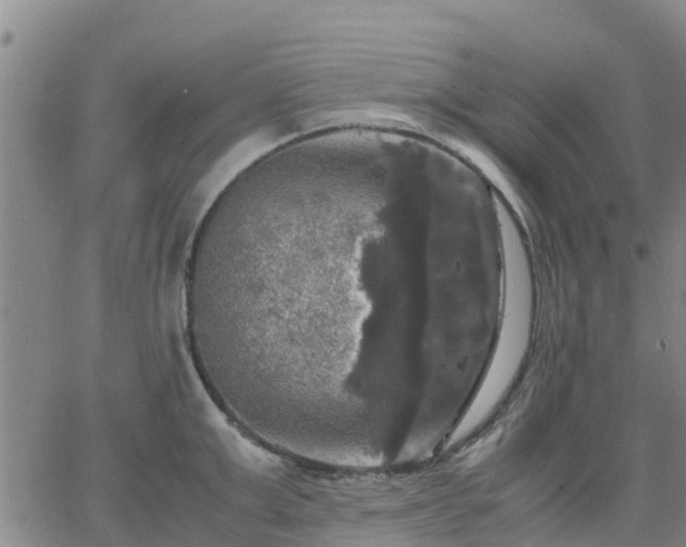 X0000063460999200601271559