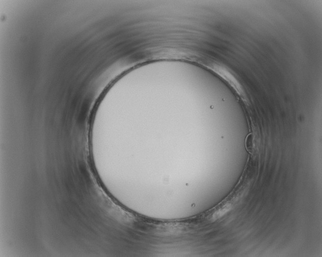 X0000063461000200601271559