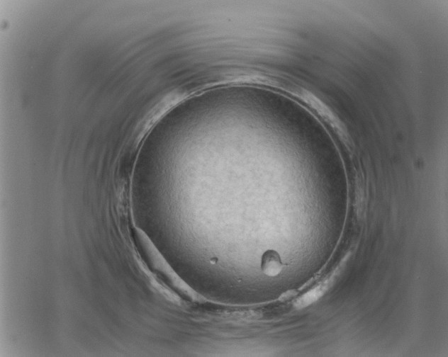 X0000063461001200601271559