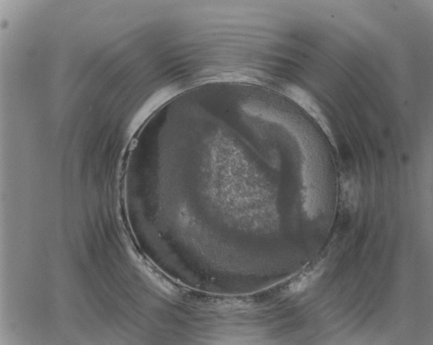 X0000063461002200601271559