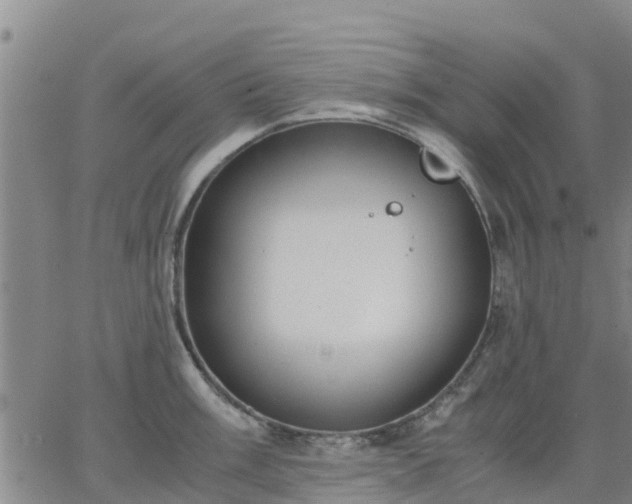 X0000063461003200601271559