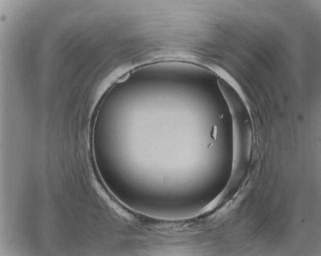 X0000063461005200601271559