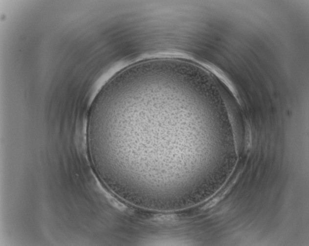 X0000063461006200601271559