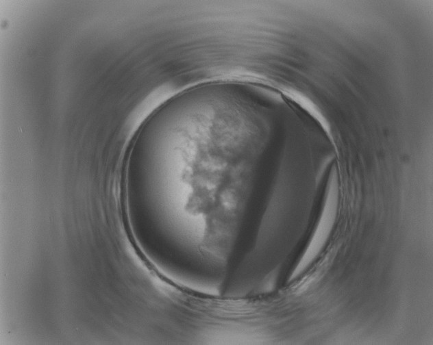 X0000063461007200601271559