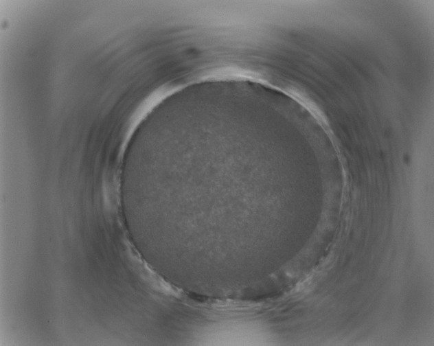 X0000063461008200601271559