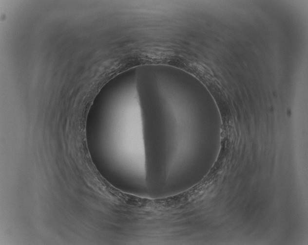 X0000063461009200601271559