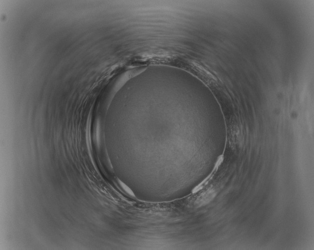 X0000063461010200601271559