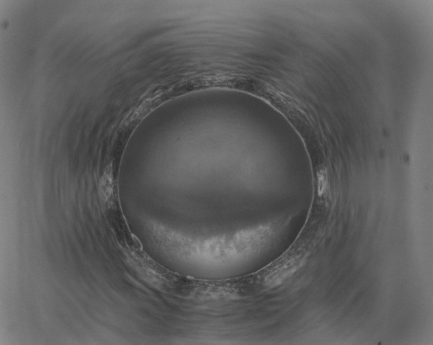 X0000063461011200601271559