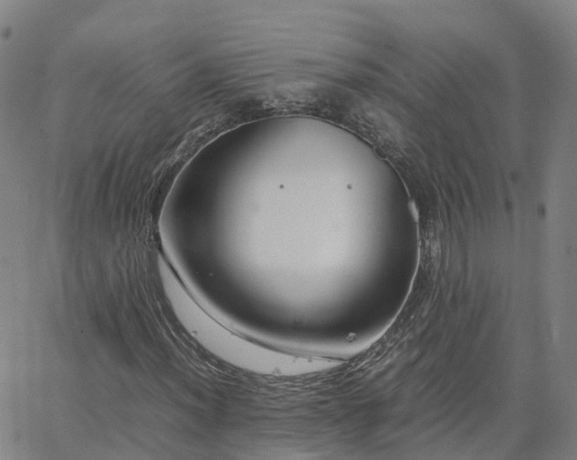 X0000063461012200601271559