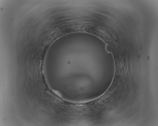 X0000063461013200601271559