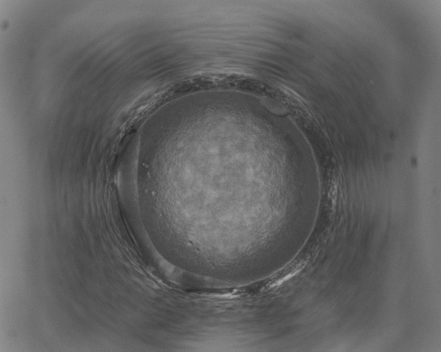 X0000063461014200601271559