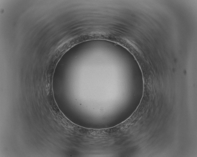 X0000063461015200601271559