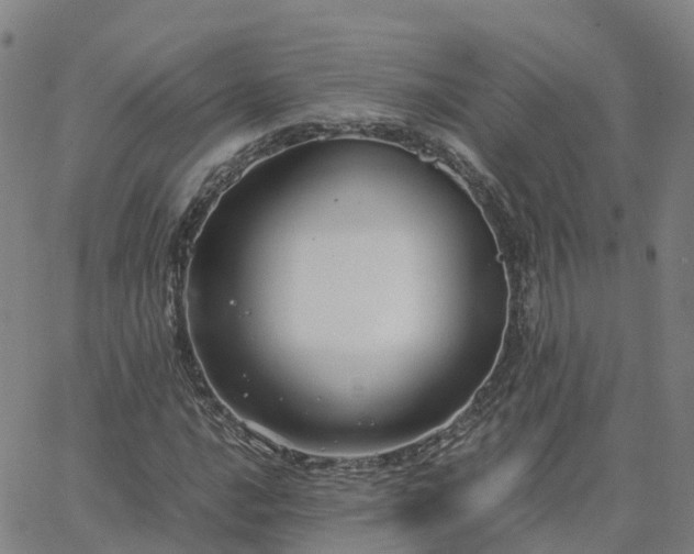 X0000063461016200601271559