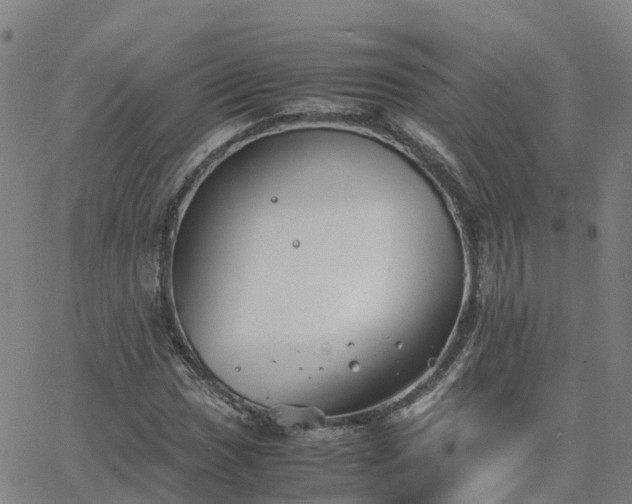 X0000063461017200601271559