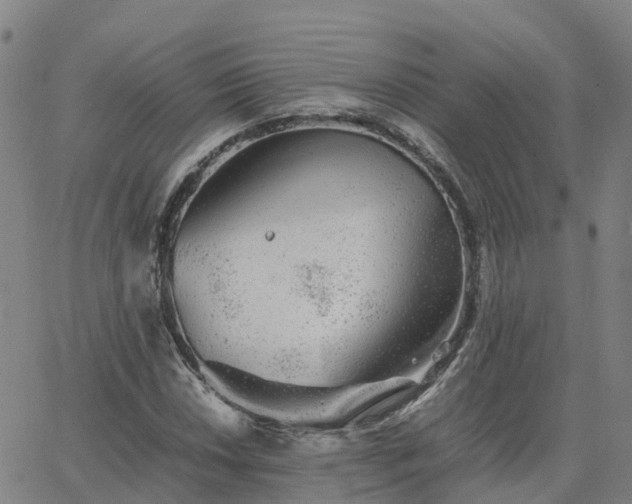 X0000063461018200601271559