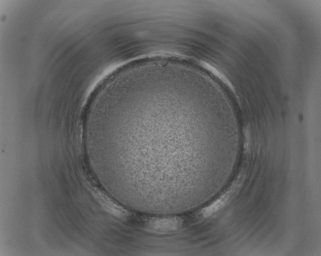 X0000063461021200601271559