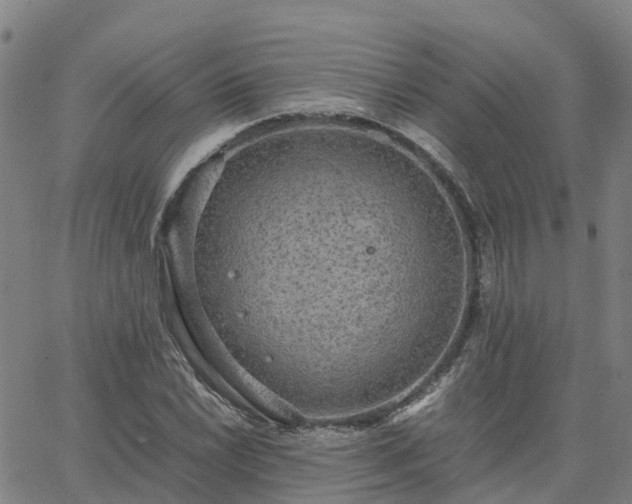 X0000063461022200601271559