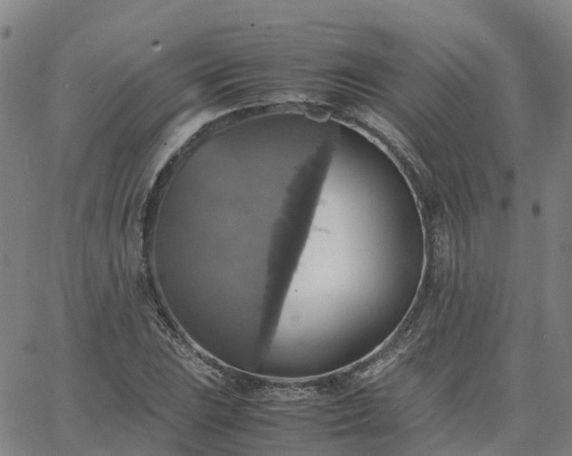 X0000063461023200601271559