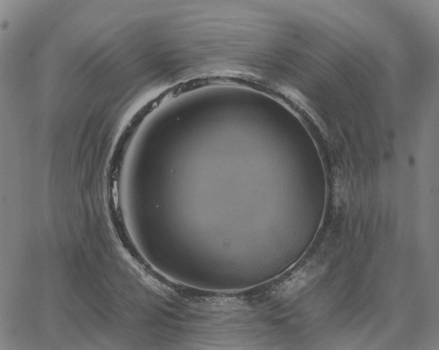 X0000063461024200601271559