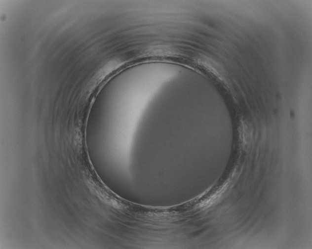 X0000063461025200601271559