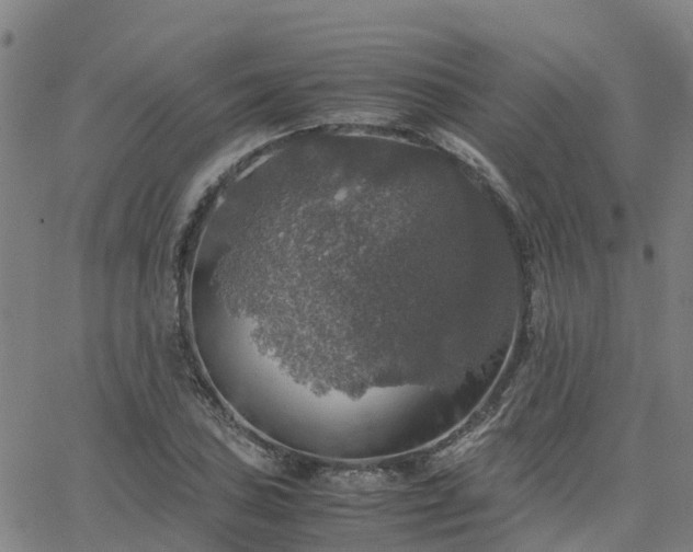 X0000063461027200601271559