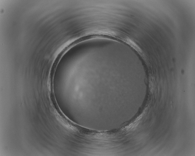 X0000063461028200601271559