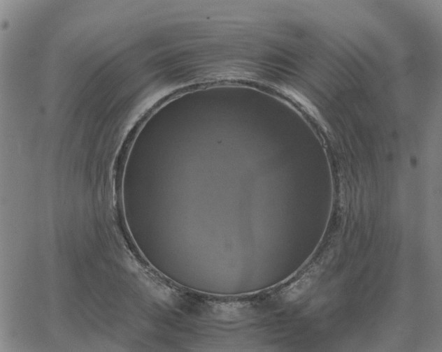 X0000063461031200601271559