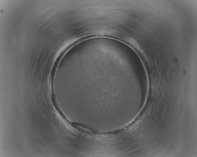 X0000063461032200601271559