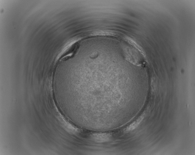 X0000063461033200601271559