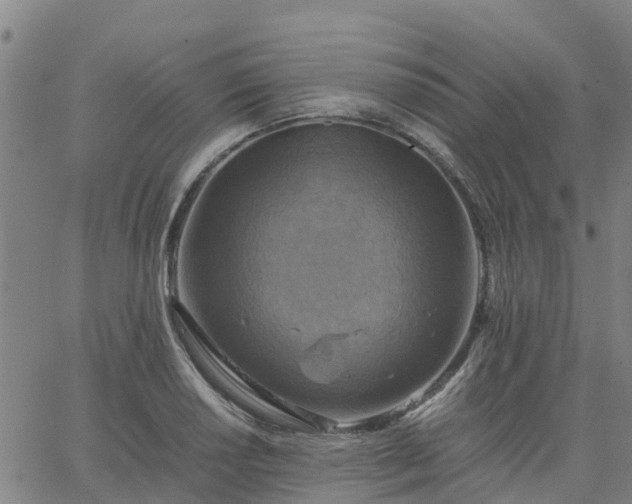 X0000063461034200601271559