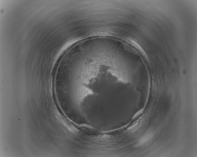 X0000063461035200601271559