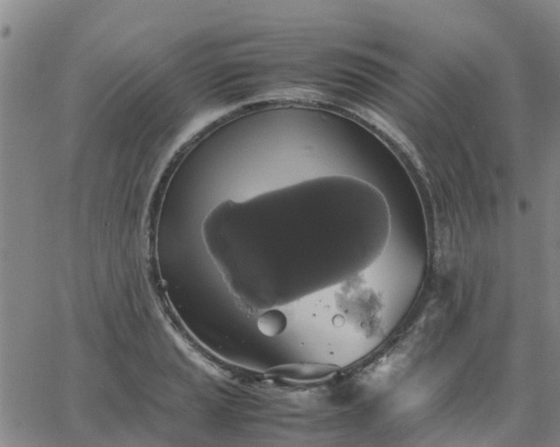 X0000063461037200601271559