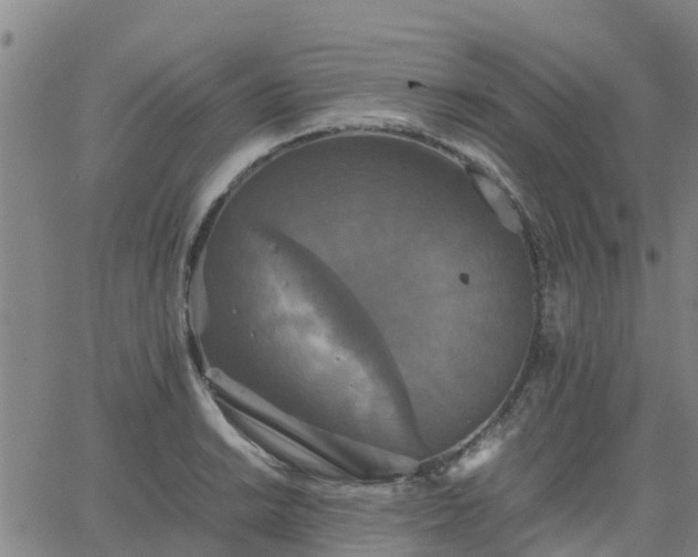 X0000063461038200601271559