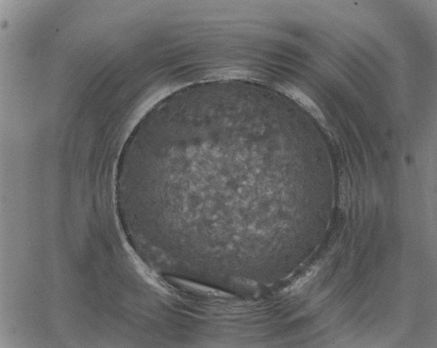 X0000063461039200601271559