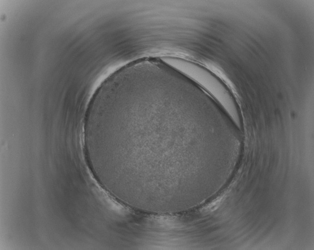 X0000063461040200601271559