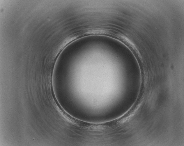 X0000063461041200601271559