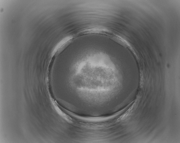 X0000063461042200601271559