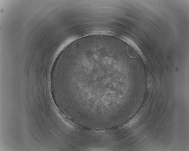 X0000063461043200601271559